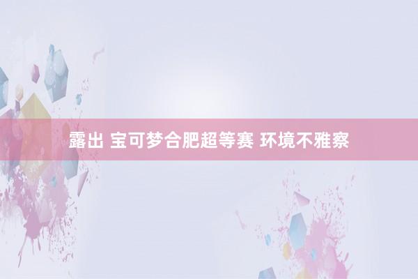 露出 宝可梦合肥超等赛 环境不雅察