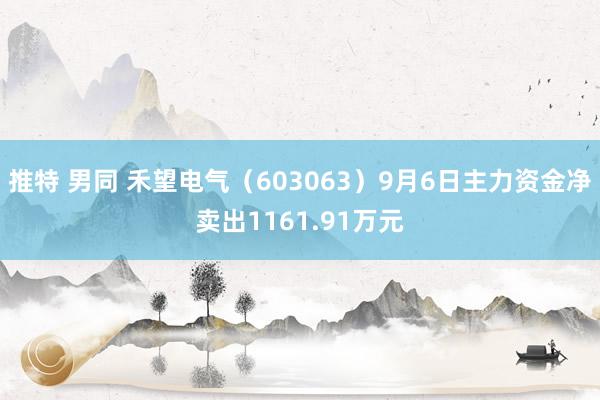 推特 男同 禾望电气（603063）9月6日主力资金净卖出1161.91万元