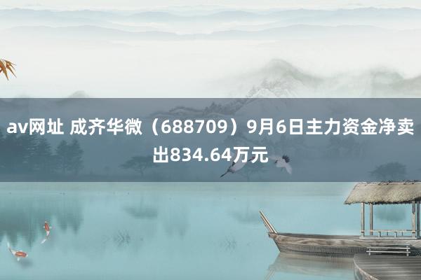 av网址 成齐华微（688709）9月6日主力资金净卖出834.64万元