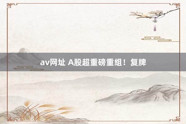 av网址 A股超重磅重组！复牌