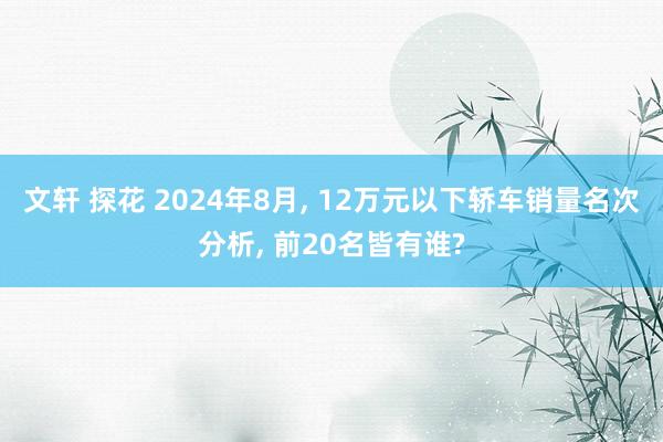 文轩 探花 2024年8月， 12万元以下轿车销量名次分析， 前20名皆有谁?