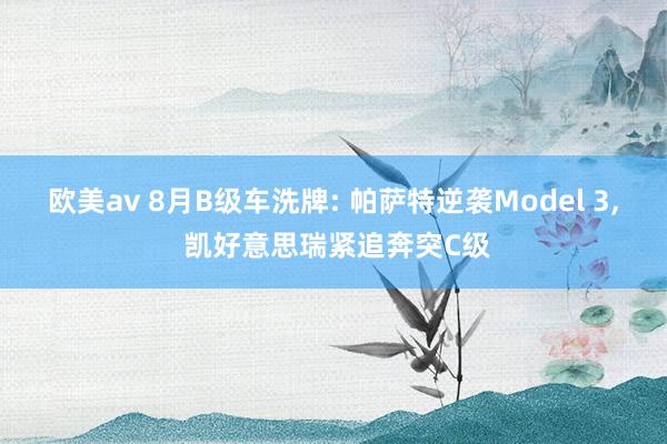 欧美av 8月B级车洗牌: 帕萨特逆袭Model 3, 凯好意思瑞紧追奔突C级