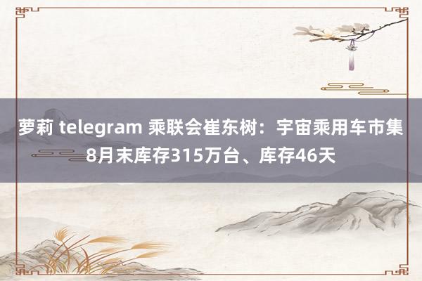 萝莉 telegram 乘联会崔东树：宇宙乘用车市集8月末库存315万台、库存46天