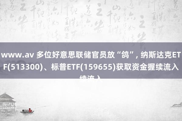 www.av 多位好意思联储官员放“鸽”, 纳斯达克ETF(513300)、标普ETF(159655)获取资金握续流入