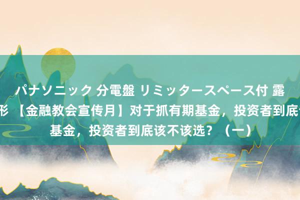 パナソニック 分電盤 リミッタースペース付 露出・半埋込両用形 【金融教会宣传月】对于抓有期基金，投资者到底该不该选？（一）