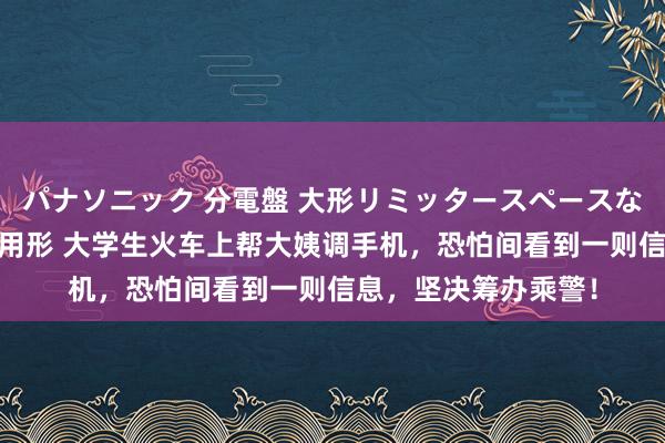 パナソニック 分電盤 大形リミッタースペースなし 露出・半埋込両用形 大学生火车上帮大姨调手机，恐怕间看到一则信息，坚决筹办乘警！