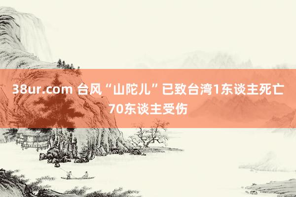 38ur.com 台风“山陀儿”已致台湾1东谈主死亡70东谈主受伤