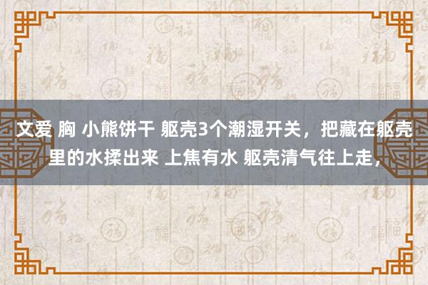 文爱 胸 小熊饼干 躯壳3个潮湿开关，把藏在躯壳里的水揉出来 上焦有水 躯壳清气往上走，