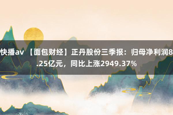 快播av 【面包财经】正丹股份三季报：归母净利润8.25亿元，同比上涨2949.37%