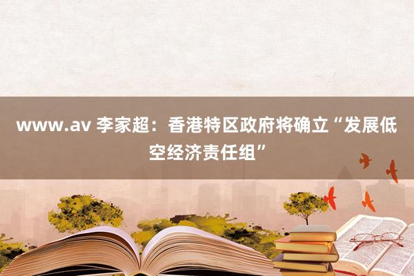 www.av 李家超：香港特区政府将确立“发展低空经济责任组”