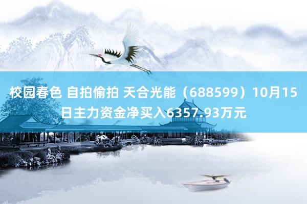 校园春色 自拍偷拍 天合光能（688599）10月15日主力资金净买入6357.93万元