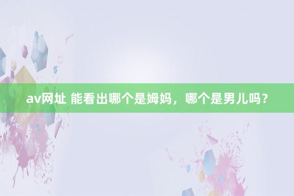 av网址 能看出哪个是姆妈，哪个是男儿吗？