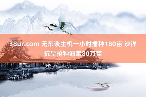 38ur.com 无东谈主机一小时播种180亩 沙洋抗旱抢种油菜80万亩