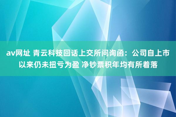 av网址 青云科技回话上交所问询函：公司自上市以来仍未扭亏为盈 净钞票积年均有所着落