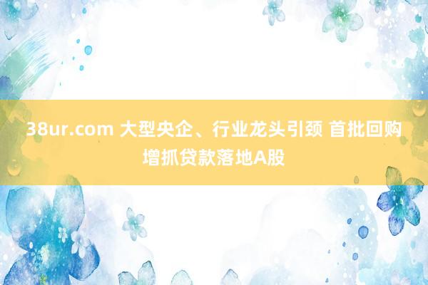 38ur.com 大型央企、行业龙头引颈 首批回购增抓贷款落地A股