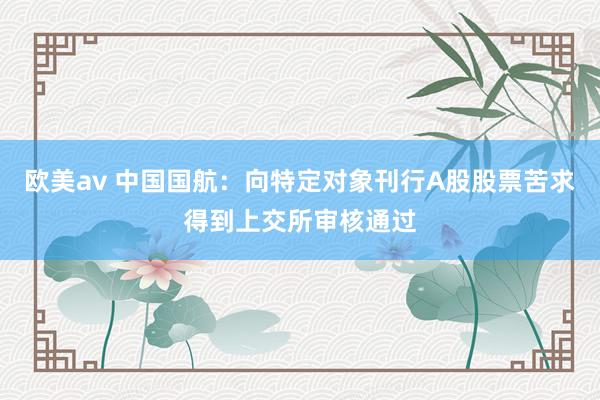 欧美av 中国国航：向特定对象刊行A股股票苦求得到上交所审核通过