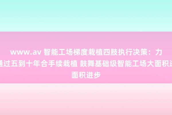 www.av 智能工场梯度栽植四肢执行决策：力图通过五到十年合手续栽植 鼓舞基础级智能工场大面积进步