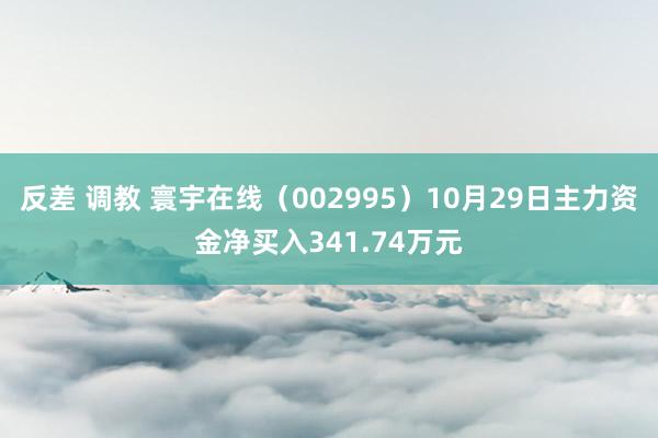 反差 调教 寰宇在线（002995）10月29日主力资金净买入341.74万元