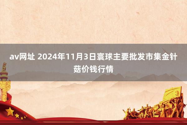 av网址 2024年11月3日寰球主要批发市集金针菇价钱行情