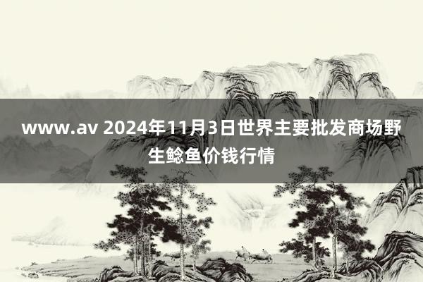 www.av 2024年11月3日世界主要批发商场野生鲶鱼价钱行情