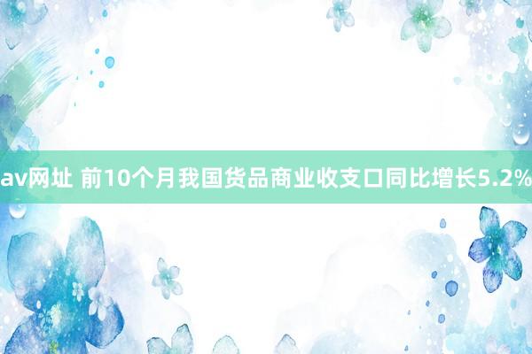 av网址 前10个月我国货品商业收支口同比增长5.2%