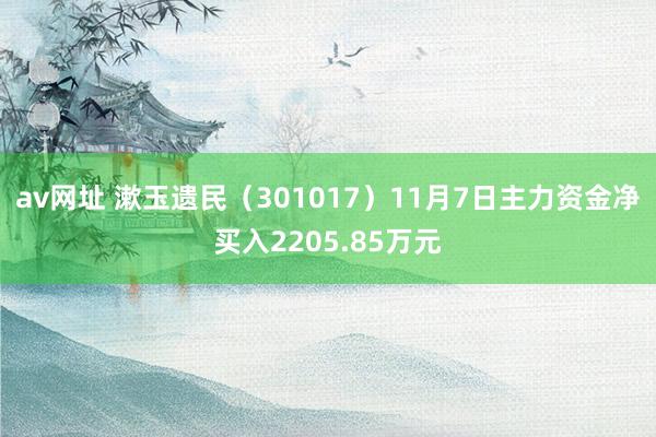 av网址 漱玉遗民（301017）11月7日主力资金净买入2205.85万元