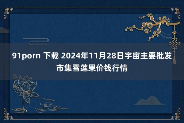 91porn 下载 2024年11月28日宇宙主要批发市集雪莲果价钱行情