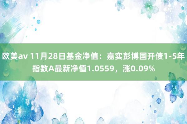 欧美av 11月28日基金净值：嘉实彭博国开债1-5年指数A最新净值1.0559，涨0.09%