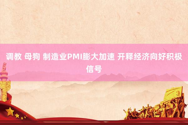 调教 母狗 制造业PMI膨大加速 开释经济向好积极信号