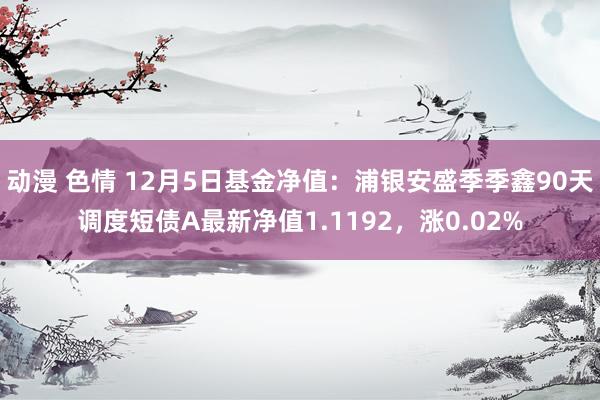 动漫 色情 12月5日基金净值：浦银安盛季季鑫90天调度短债A最新净值1.1192，涨0.02%