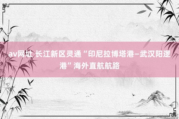 av网址 长江新区灵通“印尼拉博塔港—武汉阳逻港”海外直航航路