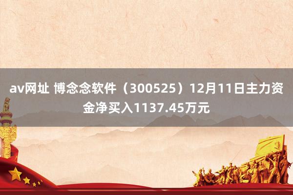 av网址 博念念软件（300525）12月11日主力资金净买入1137.45万元