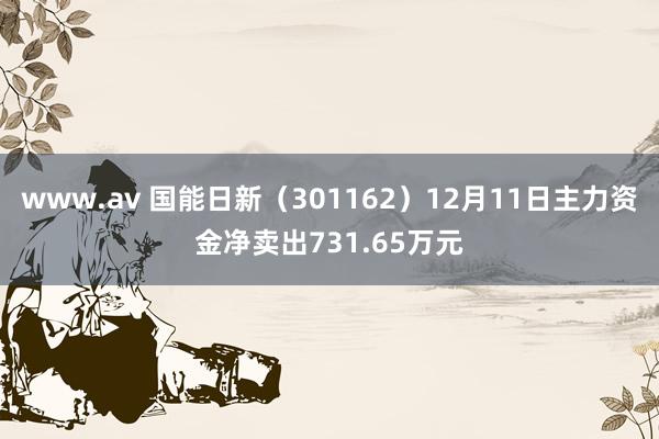 www.av 国能日新（301162）12月11日主力资金净卖出731.65万元