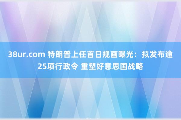 38ur.com 特朗普上任首日规画曝光：拟发布逾25项行政令 重塑好意思国战略