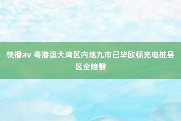 快播av 粤港澳大湾区内地九市已毕欧标充电桩县区全障翳