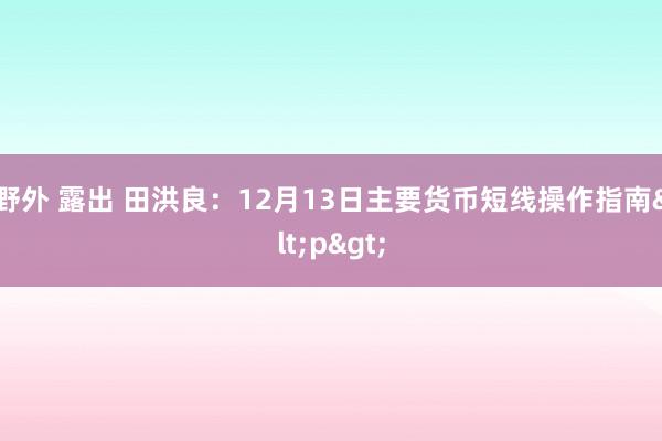 野外 露出 田洪良：12月13日主要货币短线操作指南<p>