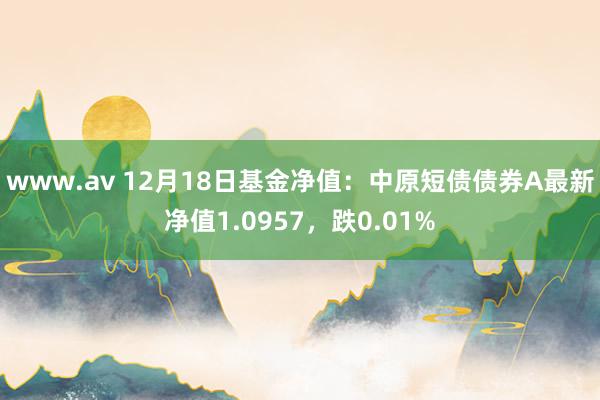 www.av 12月18日基金净值：中原短债债券A最新净值1.0957，跌0.01%