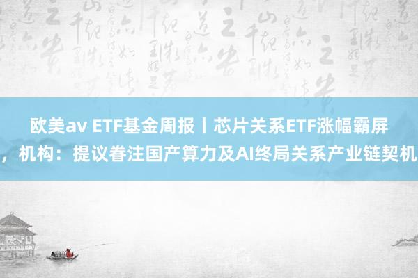 欧美av ETF基金周报丨芯片关系ETF涨幅霸屏，机构：提议眷注国产算力及AI终局关系产业链契机