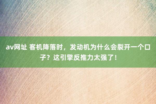 av网址 客机降落时，发动机为什么会裂开一个口子？这引擎反推力太强了！