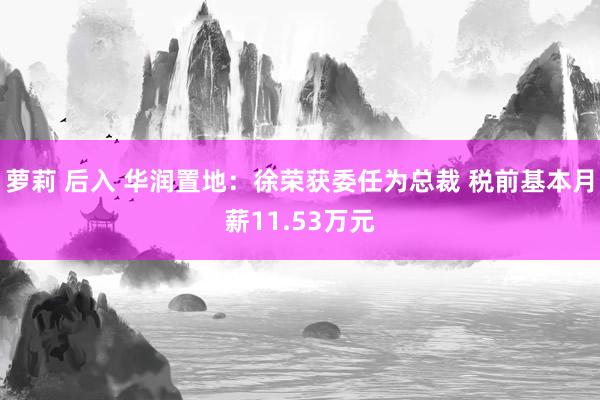 萝莉 后入 华润置地：徐荣获委任为总裁 税前基本月薪11.53万元