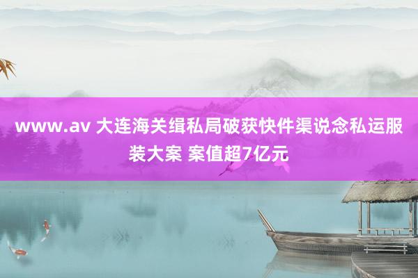 www.av 大连海关缉私局破获快件渠说念私运服装大案 案值超7亿元