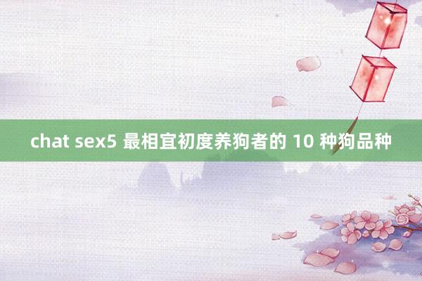 chat sex5 最相宜初度养狗者的 10 种狗品种