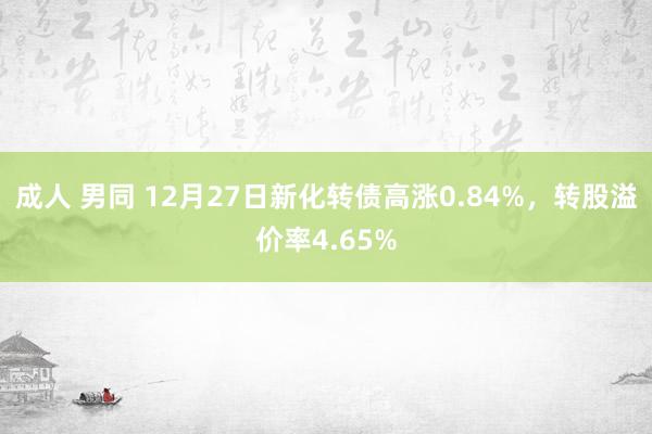 成人 男同 12月27日新化转债高涨0.84%，转股溢价率4.65%