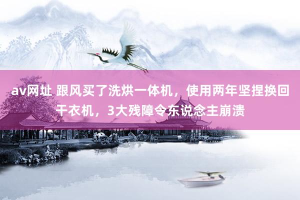 av网址 跟风买了洗烘一体机，使用两年坚捏换回干衣机，3大残障令东说念主崩溃