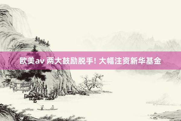 欧美av 两大鼓励脱手! 大幅注资新华基金