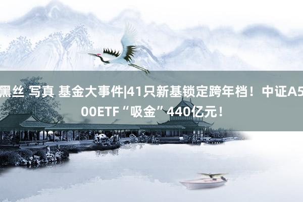 黑丝 写真 基金大事件|41只新基锁定跨年档！中证A500ETF“吸金”440亿元！