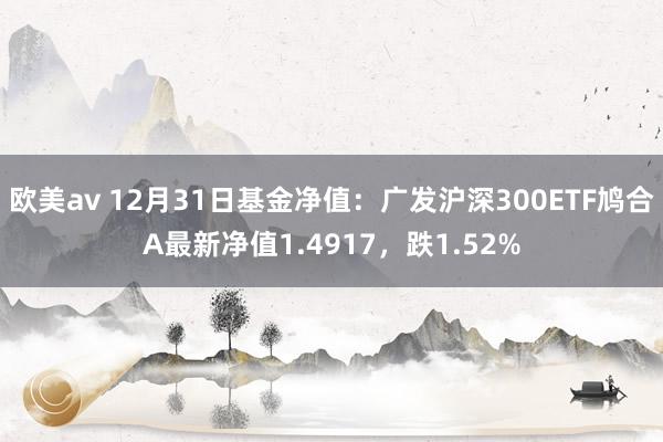 欧美av 12月31日基金净值：广发沪深300ETF鸠合A最新净值1.4917，跌1.52%