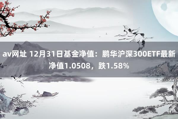 av网址 12月31日基金净值：鹏华沪深300ETF最新净值1.0508，跌1.58%