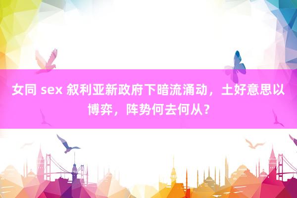 女同 sex 叙利亚新政府下暗流涌动，土好意思以博弈，阵势何去何从？