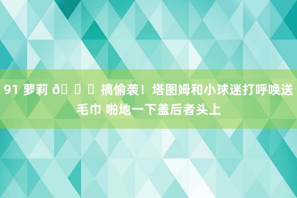 91 萝莉 😆搞偷袭！塔图姆和小球迷打呼唤送毛巾 啪地一下盖后者头上